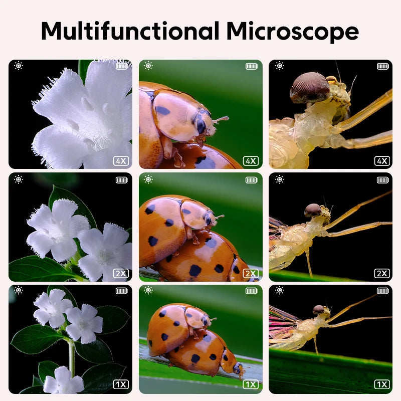 Peek-a-Microscope for Curious Kids