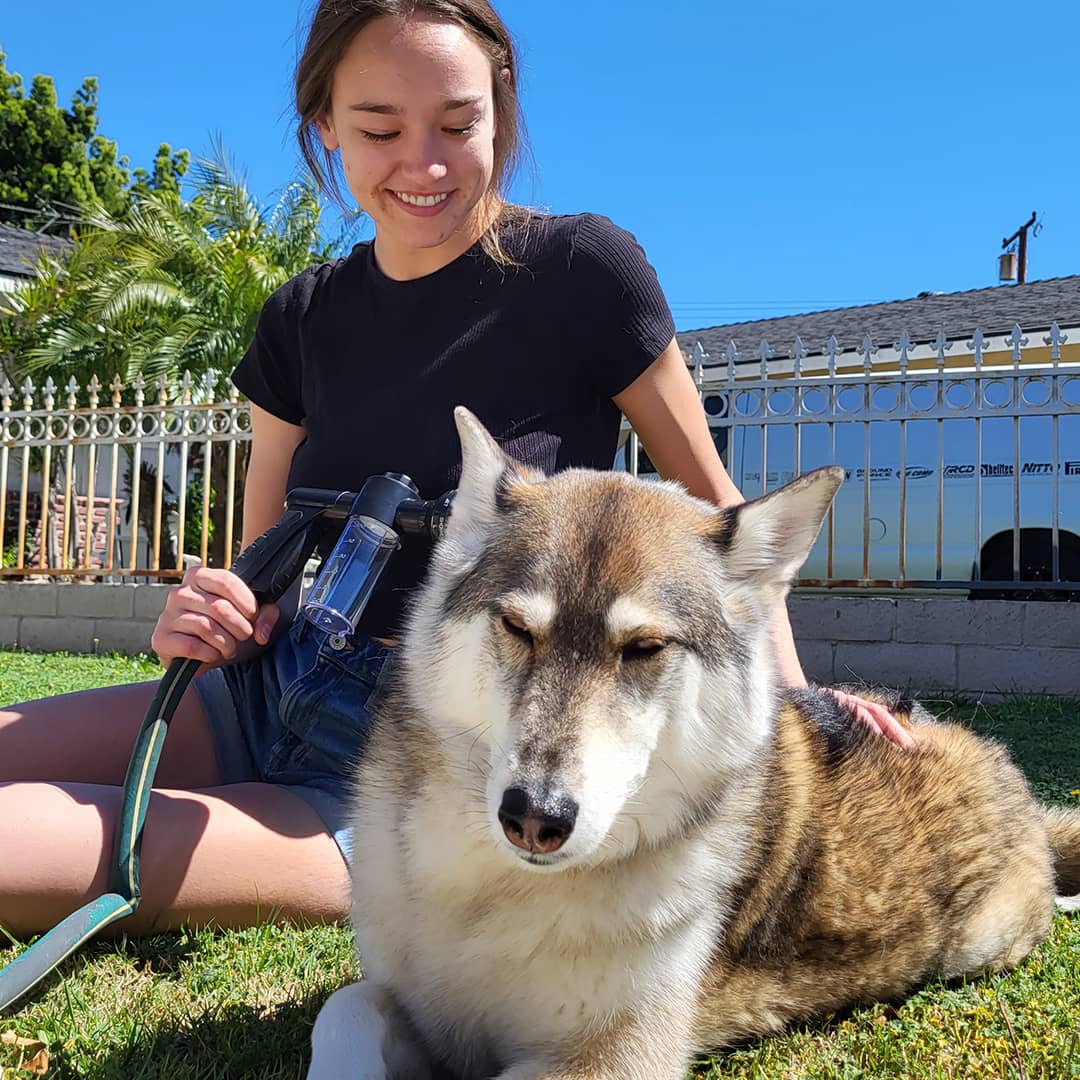 FurForce™ Turbo Dog Washer